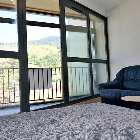 Studio Elena, Centre Village Avec Vue Apartamento La Bresse